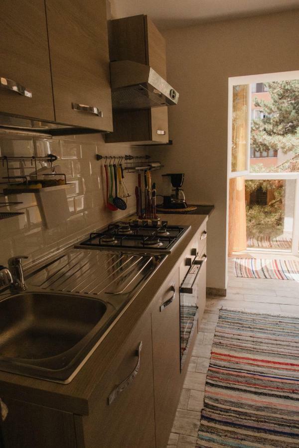 Good Vibes Apartment Campulung Moldovenesc Exterior photo